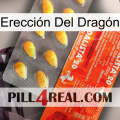 Erección Del Dragón new01